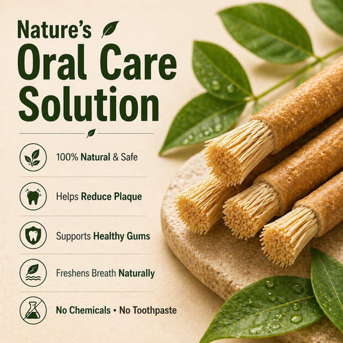 Natural Miswak Toothbrush Set with Olive Wood Handle (4-Pack)